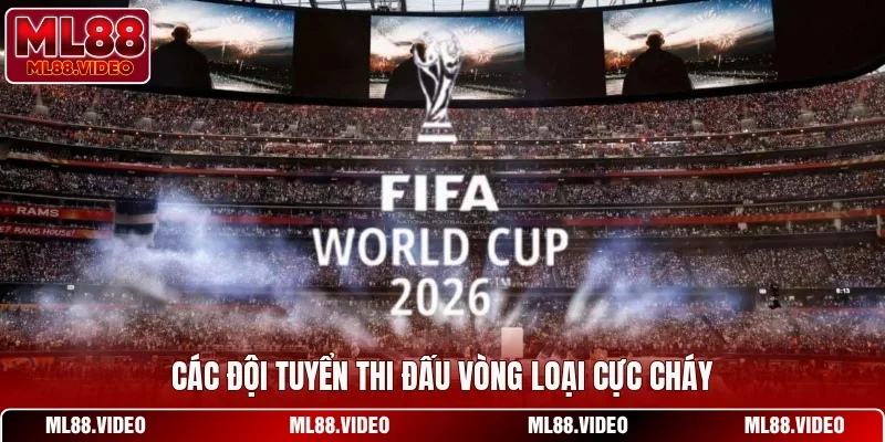 Các đội tuyển thi đấu vòng loại cực cháy