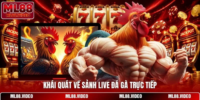 Khái quát về sảnh live đá gà trực tiếp