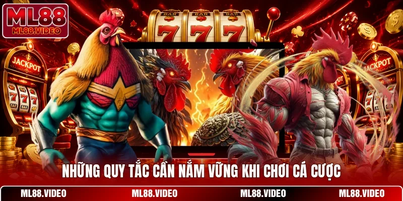 Những quy tắc cần nắm vững khi chơi cá cược