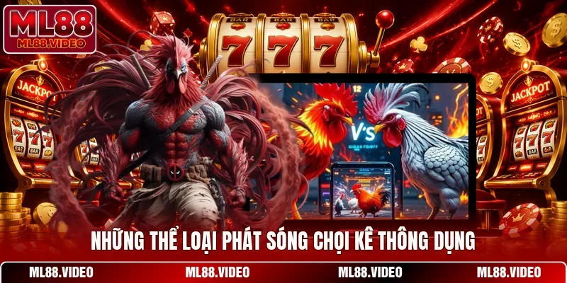 Những thể loại phát sóng chọi kê thông dụng