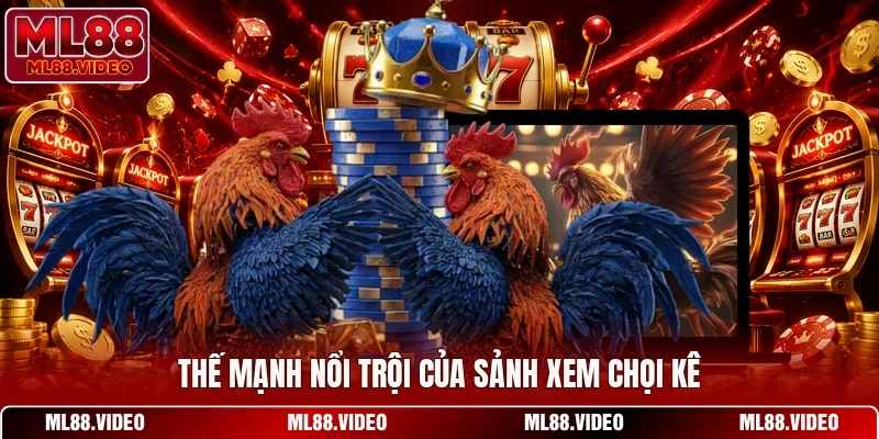Thế mạnh nổi trội của sảnh xem chọi kê
