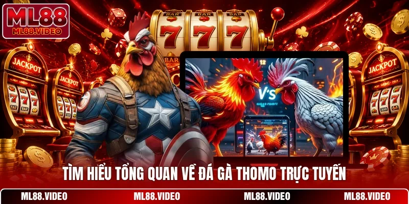 Tìm hiểu tổng quan về đá gà Thomo trực tuyến