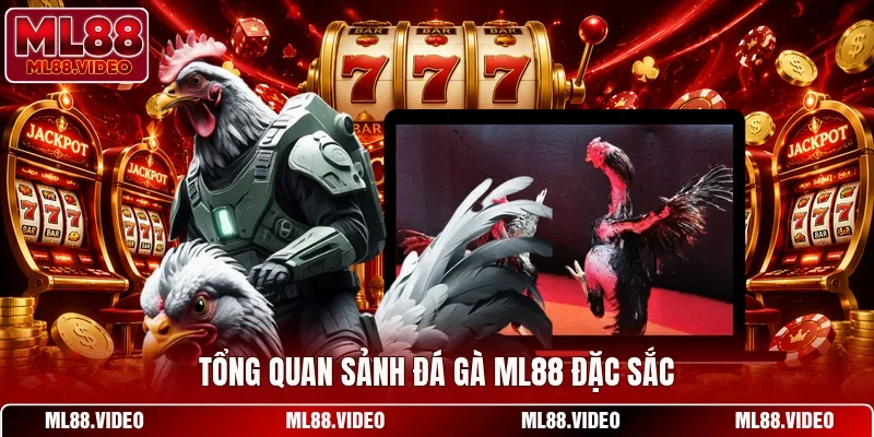 Tổng quan sảnh đá gà ML88 đặc sắc